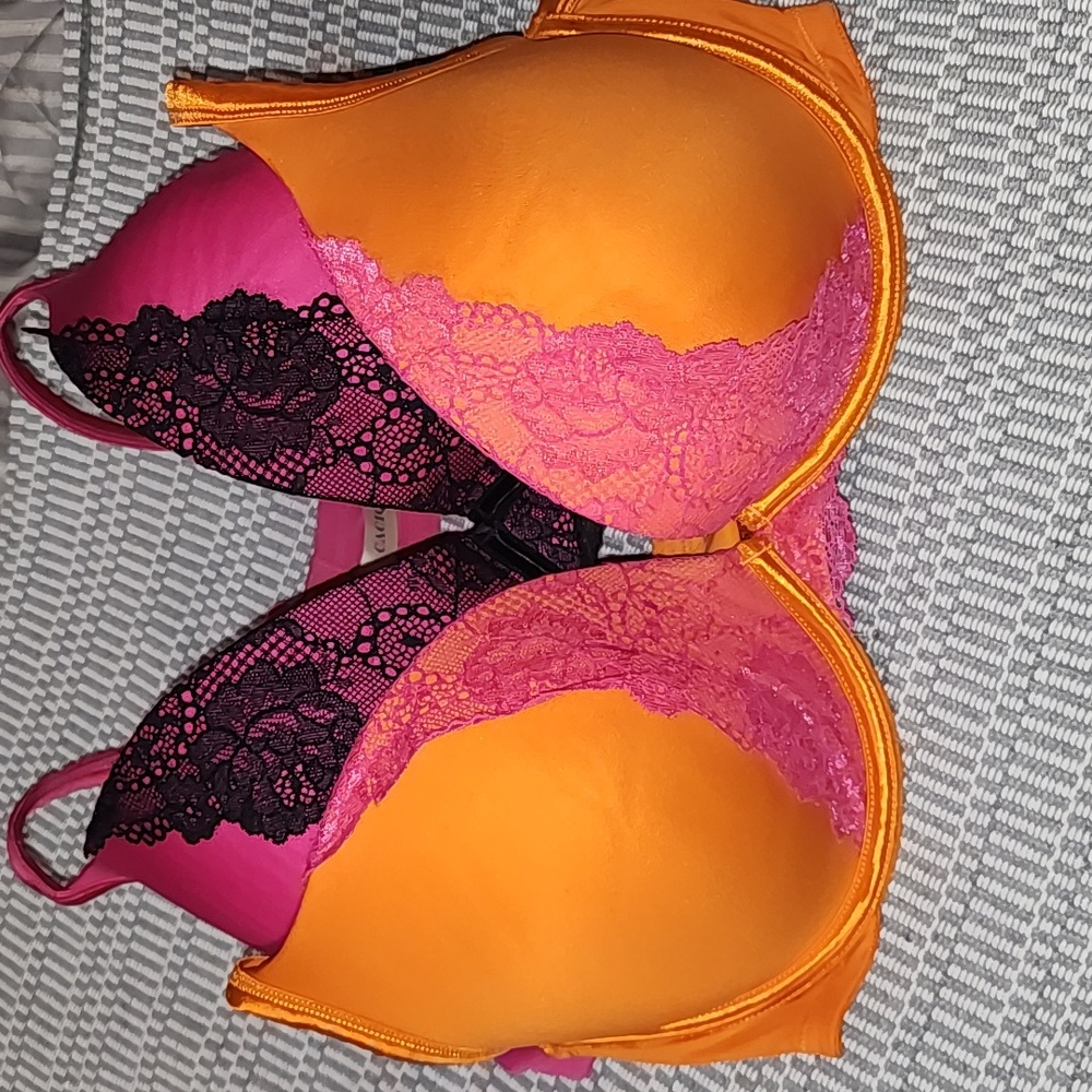Lane Bryant Bras Cacique 42C 44C